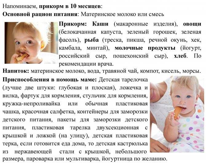 Развитие и умения грудничка в 10 месяцев ~ блог о детях