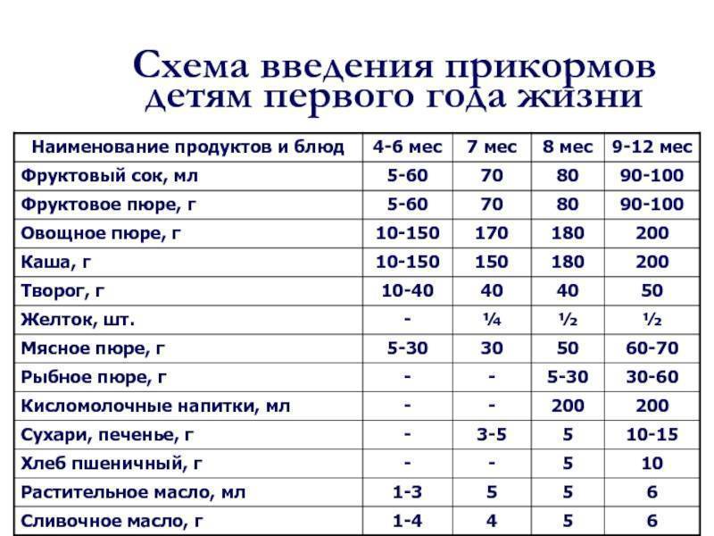 Прикорм: как и когда вводить, схема и таблица ввода прикорма ребенку по дням и месяцам / mama66.ru
