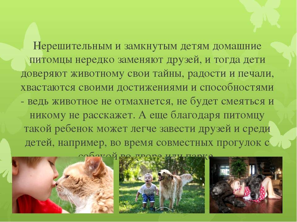 Роль питомца в жизни ребенка. дети и домашние животные.