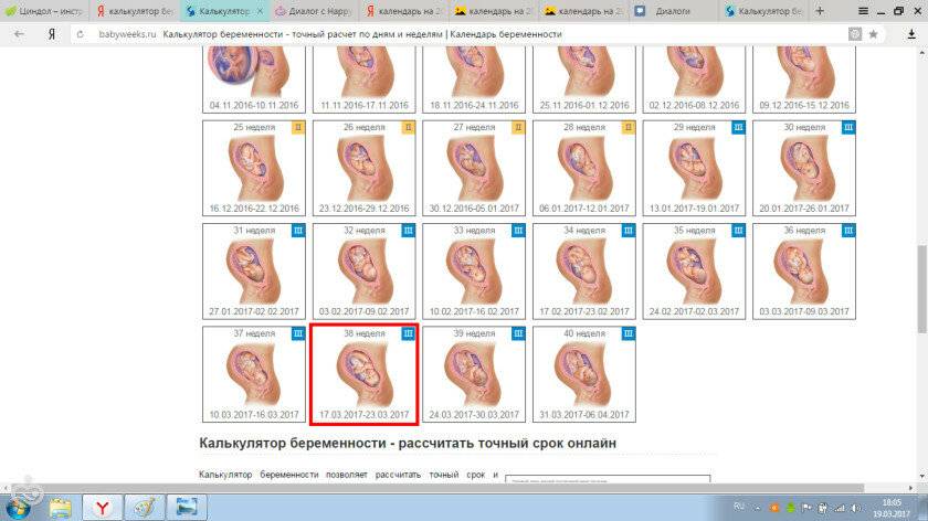 Беременность по последним месячным. Календарь беременности по неделям. Калькулятор беременности по неделям. Срок беременности по месяцам. Калькулятор беременности по неделям и дням.