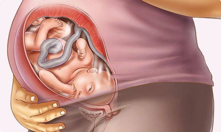 36-37 недель беременности: что происходит на этом сроке?