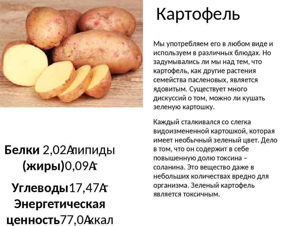 Тушеная картошка при грудном вскармливании - мамины новости