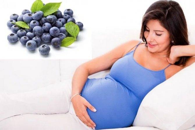Чернослив при беременности: состав и риски от употребления сухофрукта