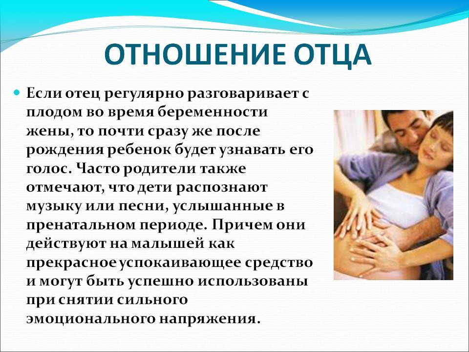 5 фактов, которые должен знать муж беременной - parents.ru