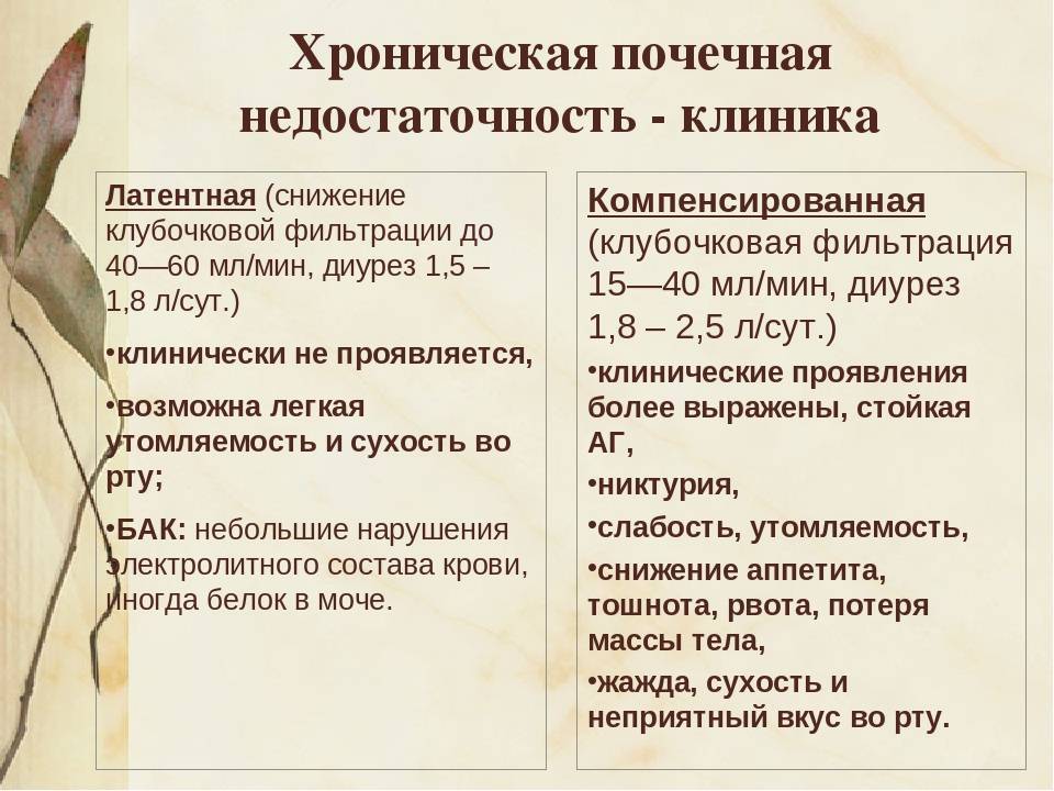 Почечная недостаточность: острая и хроническая – симптомы почечной недостаточности и ее лечение