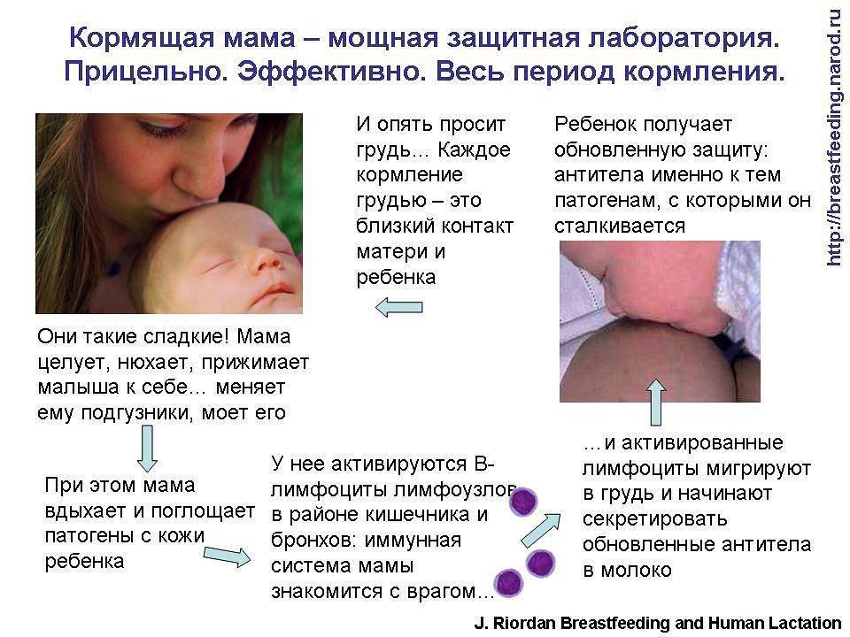 А вы бы стали кормить своего ребенка чужим молоком?