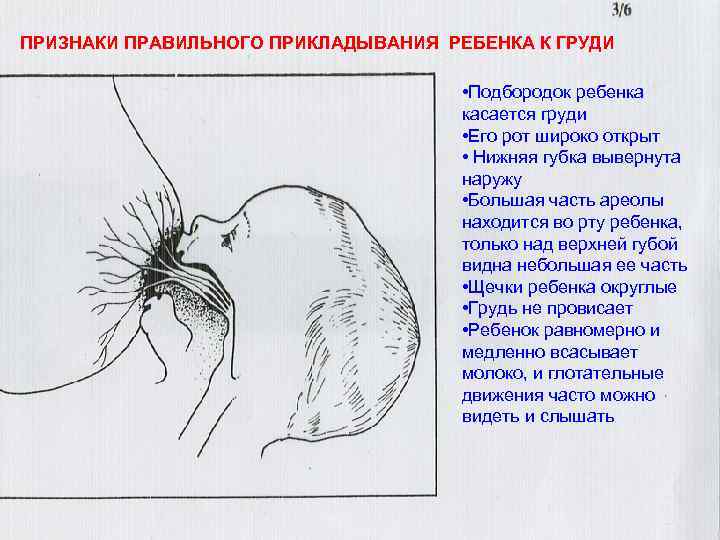 Правила прикладывания ребенка к груди для кормления