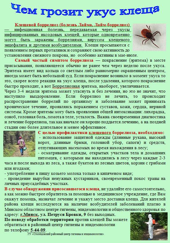 Клещевой энцефалит: коварный враг притаился в кустах