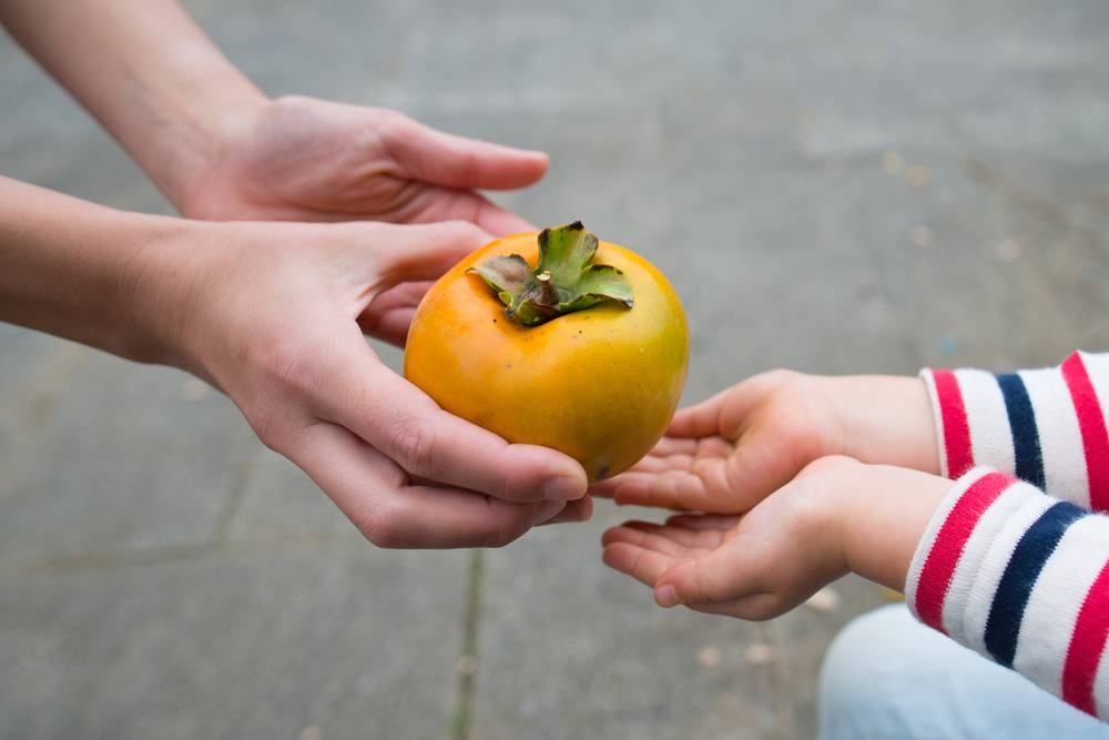 Разрешено ли кормить детей до года хурмой? когда ребенка можно познакомить с этой ягодой?