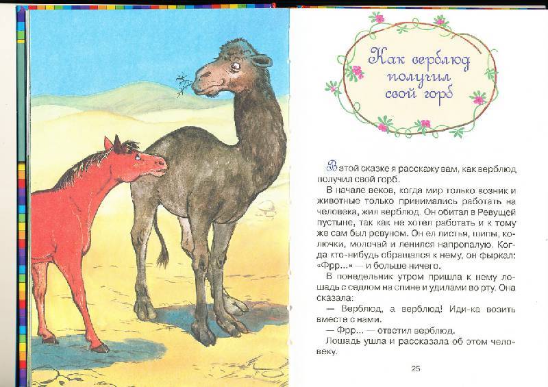 Для чего верблюду нужен горб. как объяснить ребенку 3-5 лет зачем верблюду горбы | интересные факты