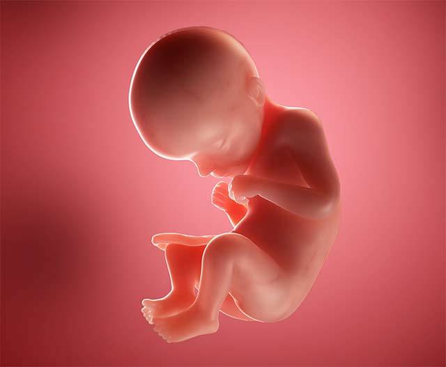 29 неделя беременности (56 фото): что происходит с малышом и мамой на 28-29 акушерской неделе, сколько это месяцев, развитие и секс, простуда