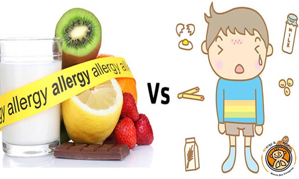 Пищевая аллергия и непереносимость продуктов — сходства и различия
