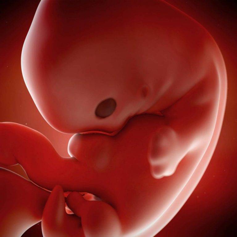 Аборт на 7 неделе беременности