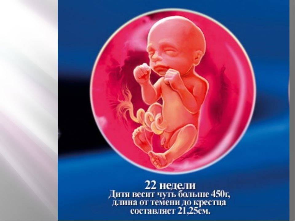 21 неделя беременности: что происходит с малышом и мамой | развитие плода на 21 неделе беременности: шевеления, боли и ощущения