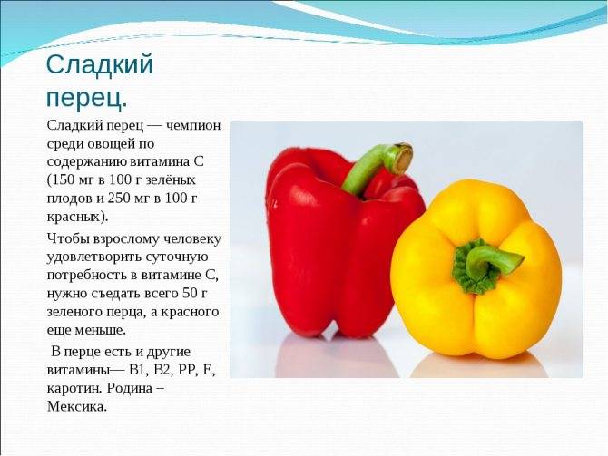 С какого возраста можно давать перец детям: когда можно дать болгарский перец и можно ли дать молотый черный и красный перец грудничку