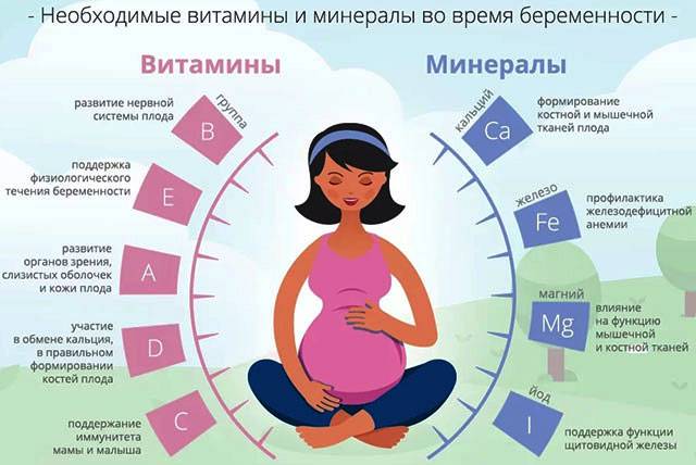 Первые признаки беременности: как распознать зачатие на ранних сроках