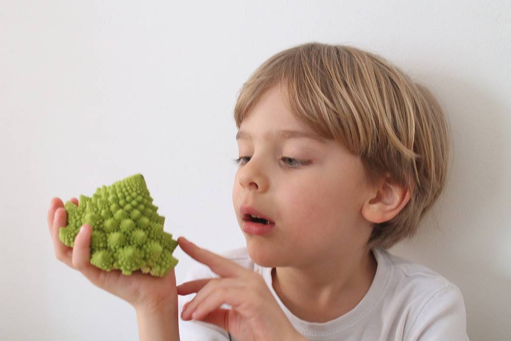 Как приучить ребенка есть фрукты- энциклопедия детское питание