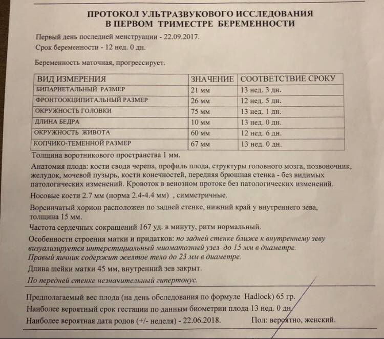 Норма носовой кости в 12 недель
