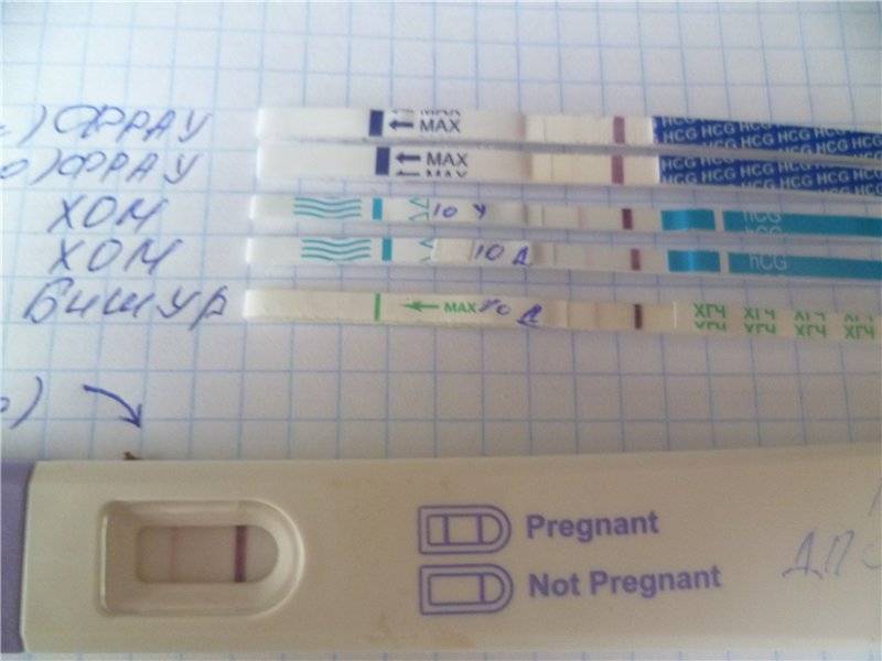Можно ли по животу определить беременность