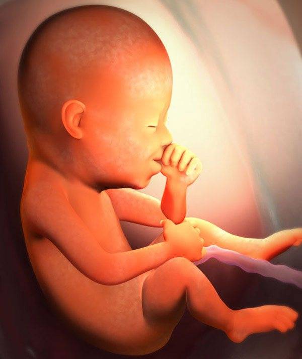 Дискомфорт во влагалище во время беременности: почему он возникает и как от него избавиться