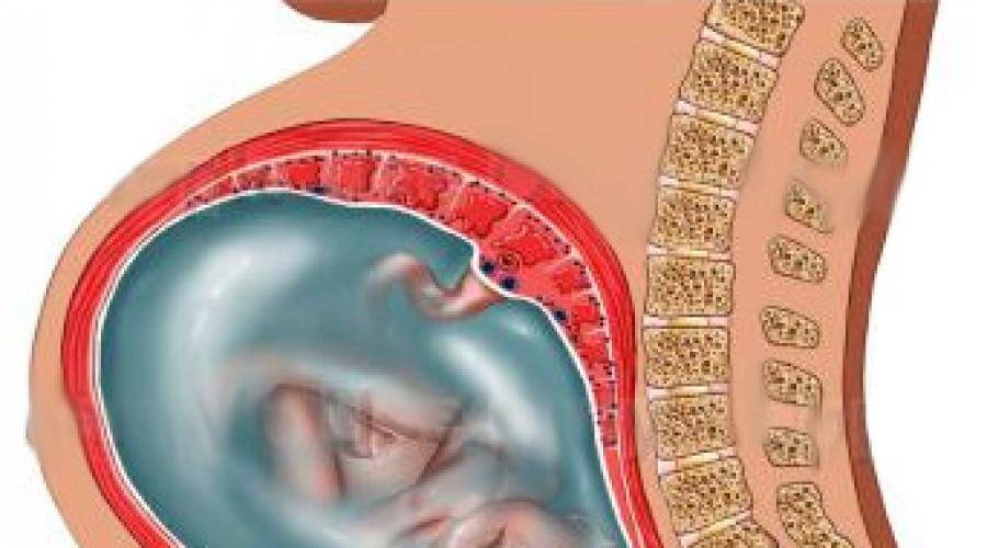 Почему булькает в животе при беременности