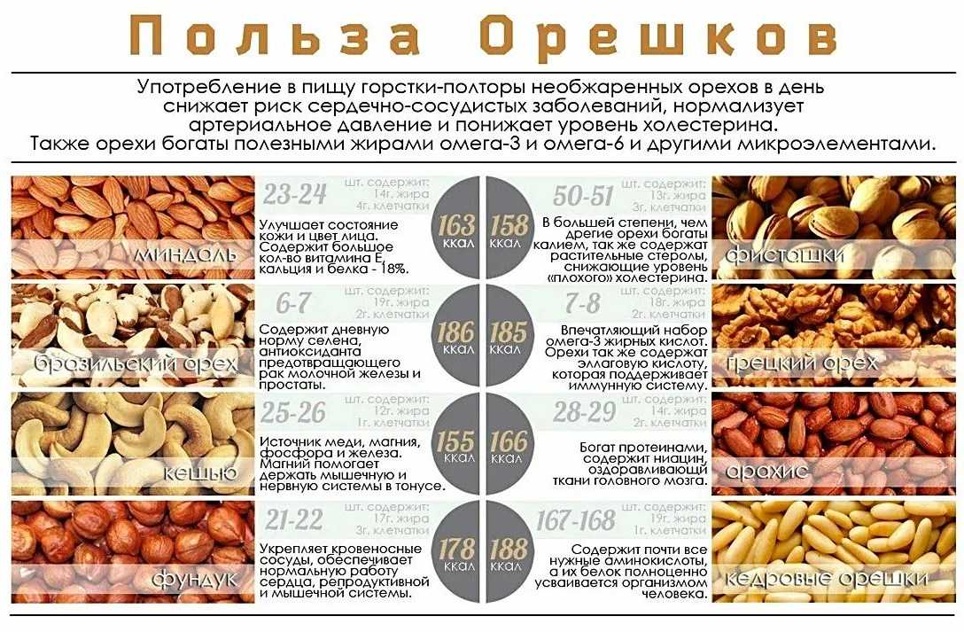 Грецкие орехи: питание для мозга и сердца