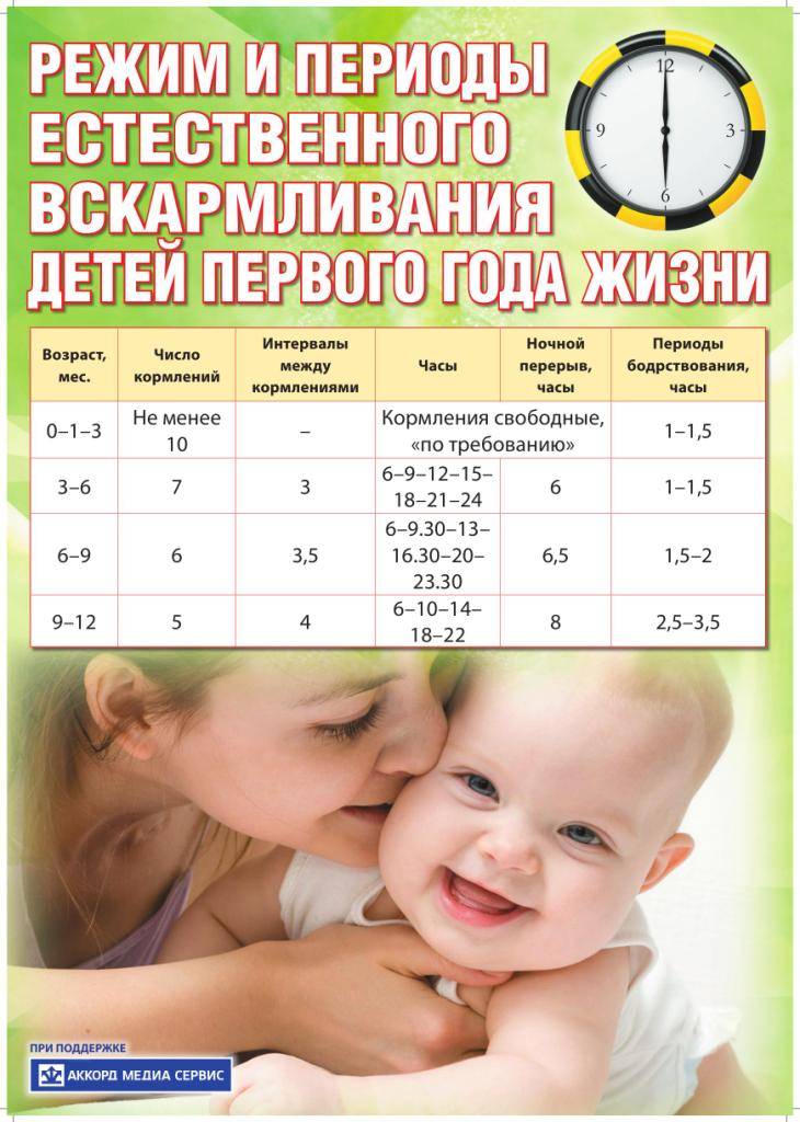 Кормление новорожденных в первые дни жизни - графики кормления смесью и грудью, мнение комаровского (видео)