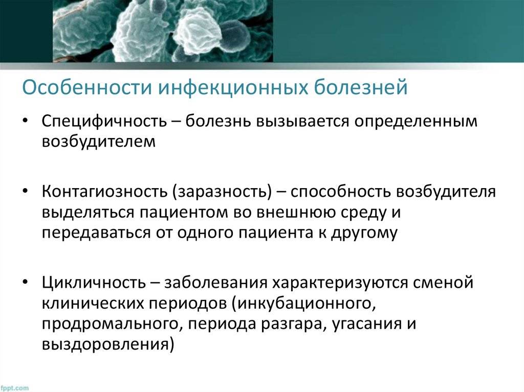 Лечение тонзиллита