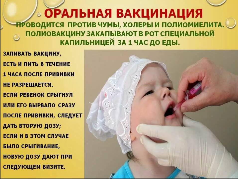 Прививка живой вакциной от полиомиелита. Вакцинация от полиомиелита. Полиомиелит прививка. Прививок от полиомиелита. Прививки детям от полиомиелита.