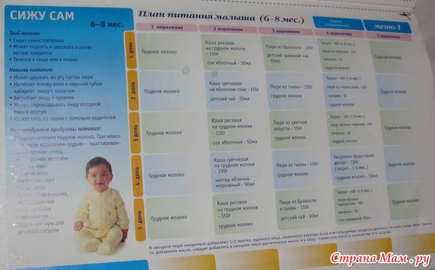 Питание ребенка в 8 месяцев: составляем меню
