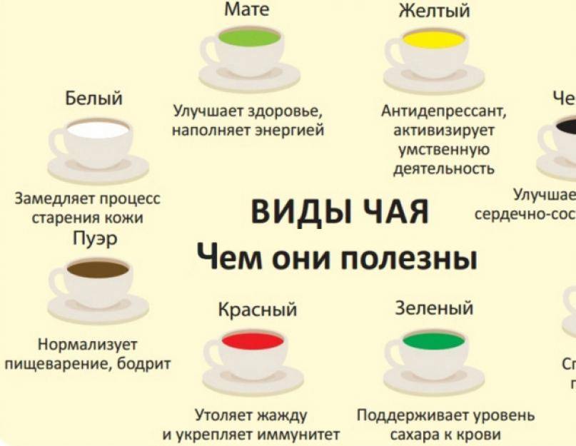 Липовый чай детям- энциклопедия детское питание