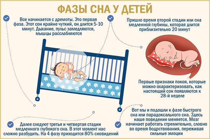 Сон новорожденного малыша: о чем нужно знать родителям