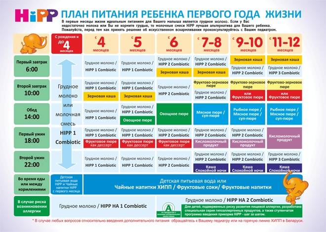 Прикорм в 6 месяцев при грудном вскармливании: правила, меню, рецепты