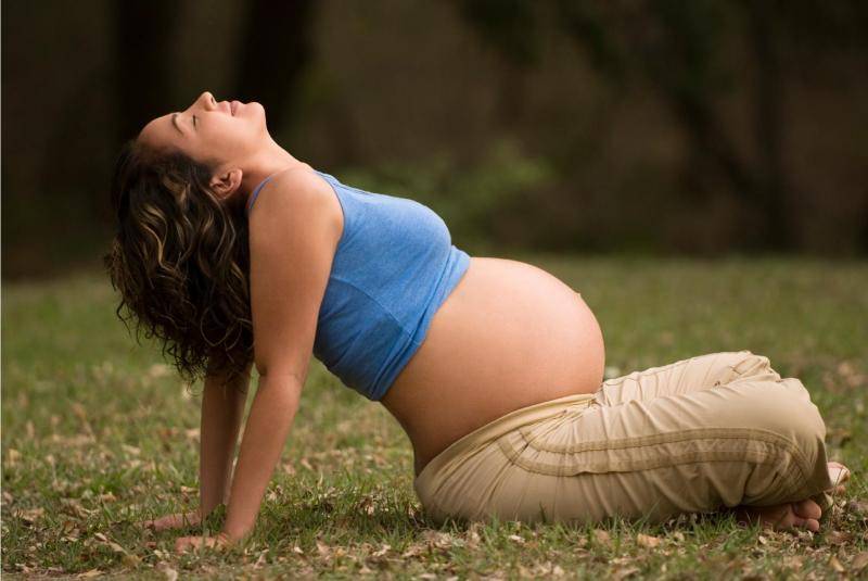 Йога для начинающих беременных 2 триместр
