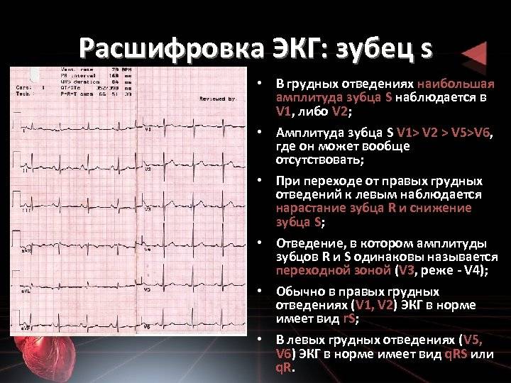 Электро кардиограмма в долгопрудном, результаты кардиограммы сердца и описание сердечного ритма