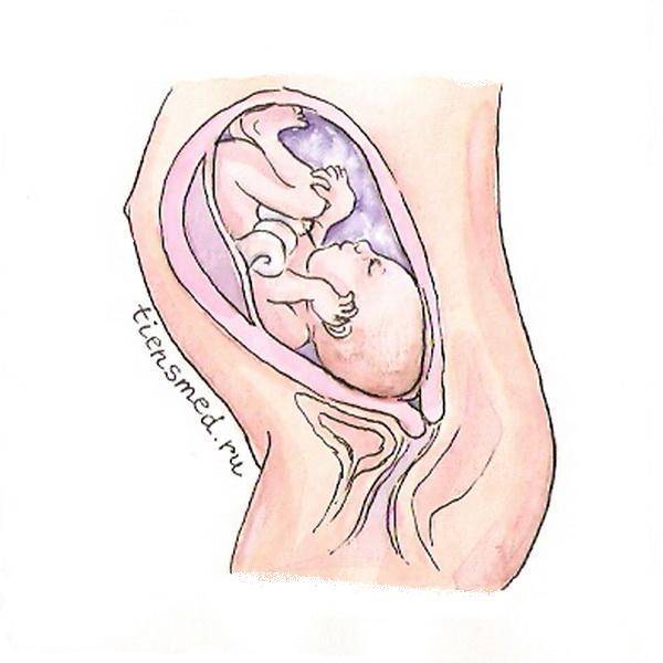 Долгожданная 18 неделя беременности: ощущения, шевеление плода