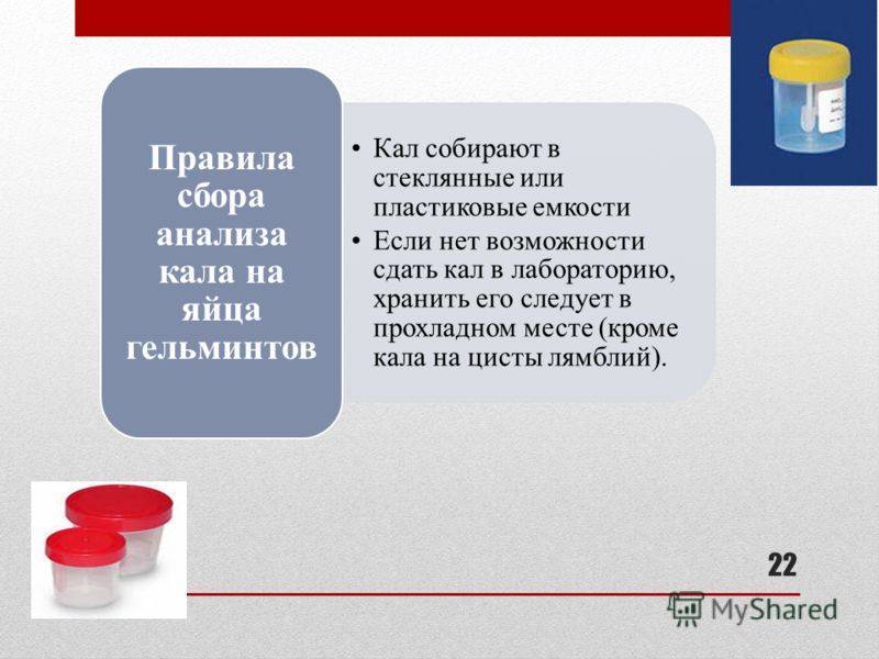 Анализ кала — сколько можно хранить кал для анализа в холодильнике? - proinfekcii.ru