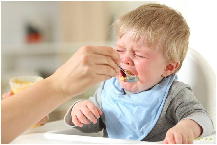 Ребенок ест только во сне: проблемы кормления грудничков