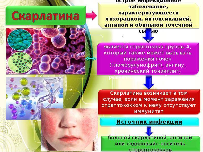 Энтеровирус у детей: симптомы и лечение вирусной инфекции
