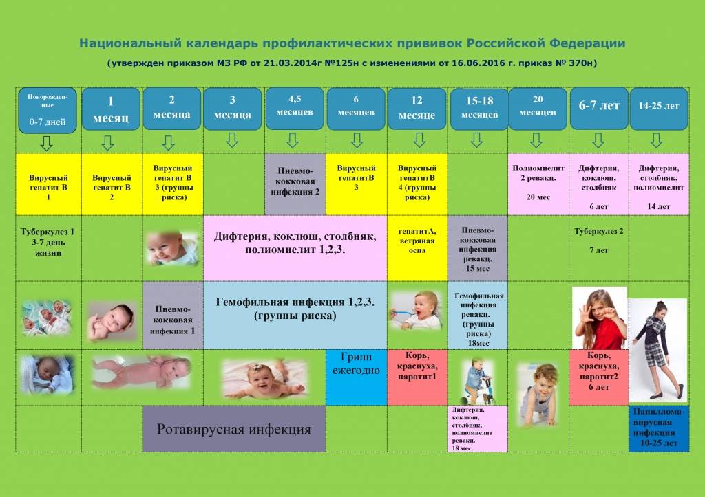 Национальный календарь прививок для детей и взрослых в 2020 году