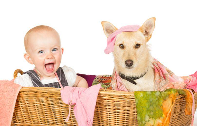 Дети и домашние животные: плюсы и минусы | medical note