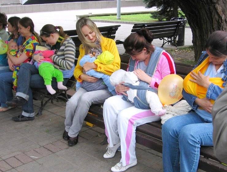 Кормление в общественных местах — как это делать? жизнь кормящей мамы