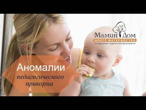 Мифы о прикорме для малыша