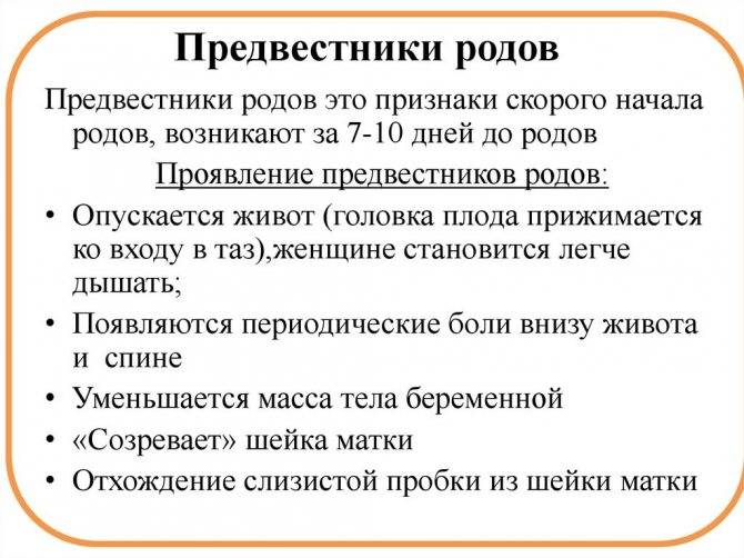 Установка и удаление пессария в москве в медицинском центре «клиника abc»