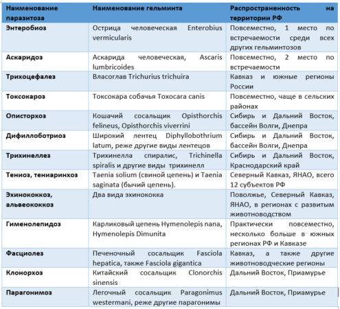 Фимоз и парафимоз (синехии крайней плоти, смегмальные камни) - официальный сайт доктора файзулина