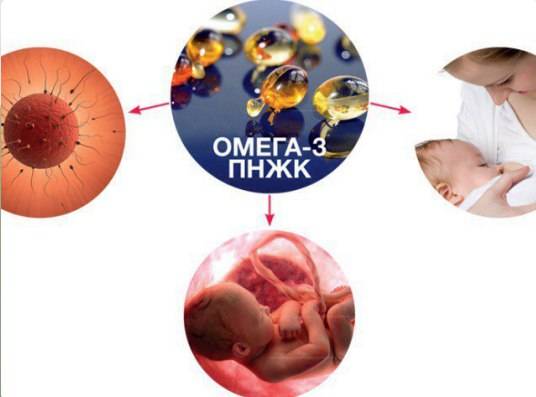 Омега-3 – польза для будущей мамы и младенца
