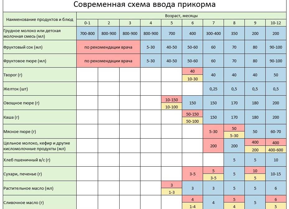 Схема введения прикорма по новым правилам: что изменилось - parents.ru