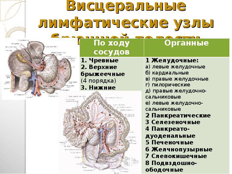 ᐈ лимфаденопатия (увеличение лимфоузлов) ~【лечение в киеве】