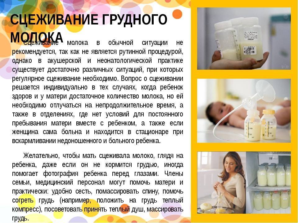 Надо ли сцеживать молоко после кормления