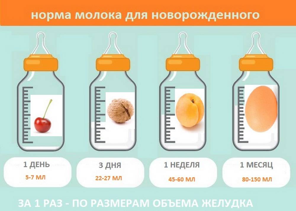 Сколько должен съедать новорожденный: нормы кормления